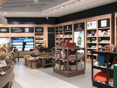 -米兰马尔彭萨国际机场