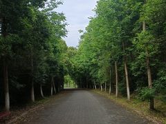 -上海海湾国家森林公园