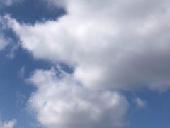 -哈尔滨大剧院