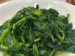 白酒有机豆苗-瑞福园联谊餐室(茂名南路店)