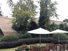 -老房子金沙元年川菜食府·花园餐厅(金沙店)
