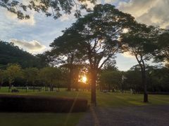 -顺峰山公园
