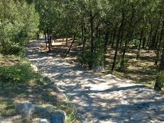 园内小山路-北京鹫峰国家森林公园