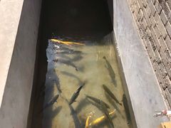 -何适山庄 ·可团建(水长城P2停车场店)