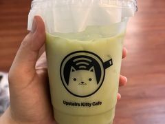 -楼上猫咖(罗湖店)