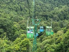 -野象谷景区