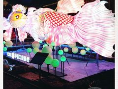 -老门东历史文化街区