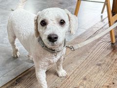 -乡乐园蟹庄·阳澄湖农家乐