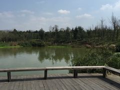 -白鹭湾湿地公园