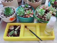 -味多美蛋糕(六里桥店)