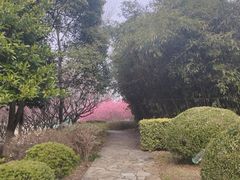 -白塘生态植物园