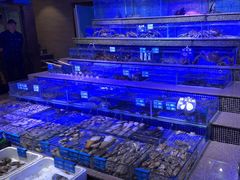 -青蓬蒸汽海鲜·深圳老字号·团建聚会(壹方城店)