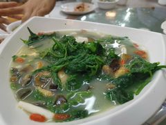 上汤桑叶-喜运来酒楼(江南大道店)