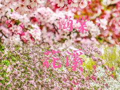 -海棠花溪(元大都城垣遗址公园)