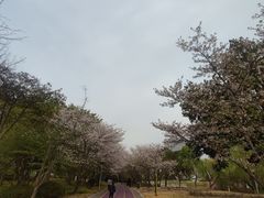 -尚贤河湿地