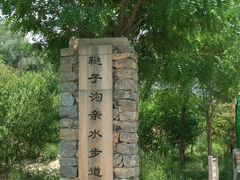 -唐指山风景区