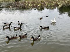 -太阳宫公园