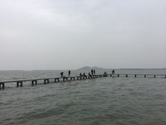 -武汉大学-樱园