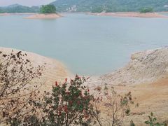 -广州市流溪河国家森林公园