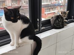 -乖乖宠物医院·猫科·骨科·24小时(云岗分院)