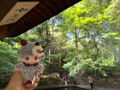 -西湖风景区十里琅珰-五云山