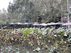 -三圣花乡旅游区