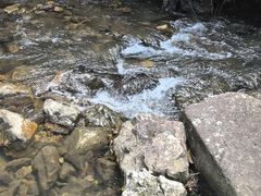 -广州市流溪河国家森林公园