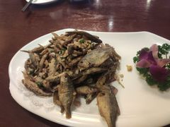 -温汤大酒店餐厅