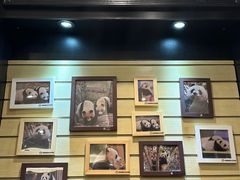 -轩客会(熊猫书店)