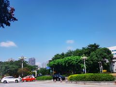 -大亚湾红树林城市湿地公园