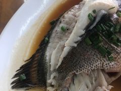 -明记海鲜大排档(巽寮湾店)