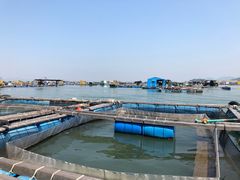 -海上驿站渔家菜馆