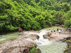 -广州白江湖森林公园