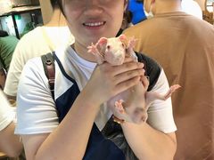 -藦茜花园宠物主题亲子互动体验馆(国顺东路店)