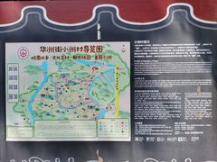 -小洲村