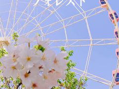 -顾村公园
