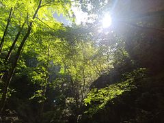 -牛背梁国家森林公园