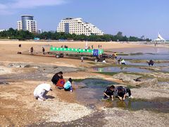 -前王院•巧克力海鲜市集餐厅(万平口店)