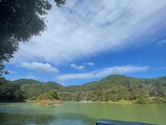 -广州白江湖森林公园