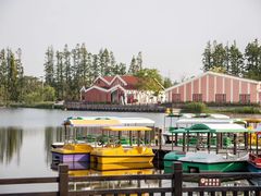 -上海长兴岛郊野公园