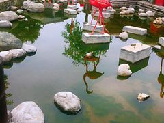 -茯茶镇