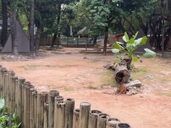 -深圳野生动物园