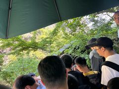 -雁荡山风景名胜区