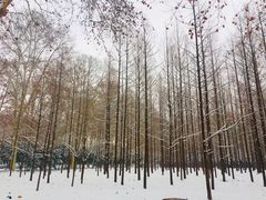 -河南省黄河迎宾馆
