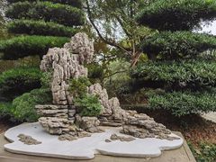 -南山植物园