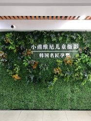 -小熊维尼高端儿童摄影(宝安旗舰店)