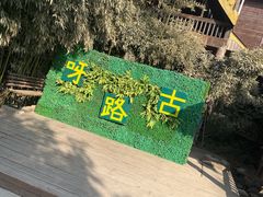 -呀路古热带植物园