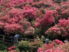 -木兰云雾山
