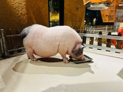 -天河城购物中心