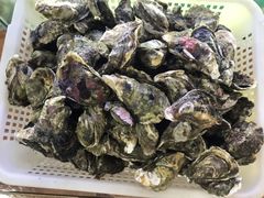 -海之鲜大排档(东山海鲜金銮湾店)